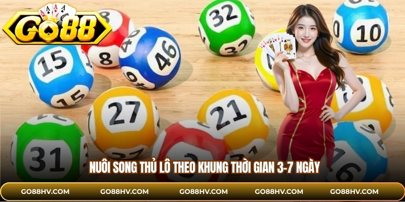 Nuôi song thủ lô theo khung thời gian 3-7 ngày