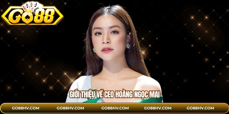 Giới thiệu về CEO Hoàng Ngọc Mai