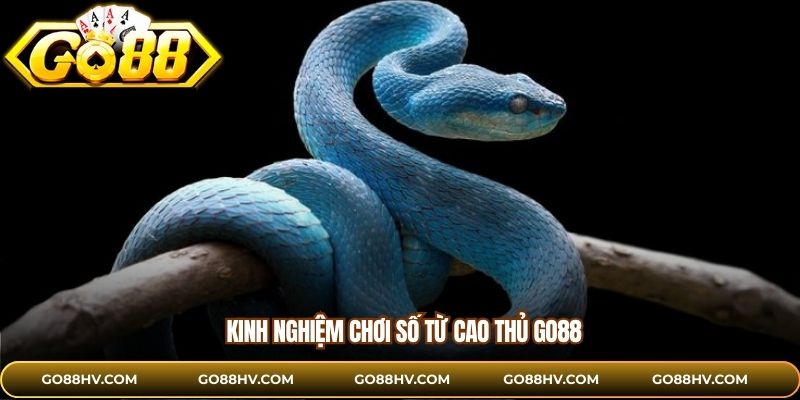 Kinh nghiệm chơi số từ cao thủ GO88